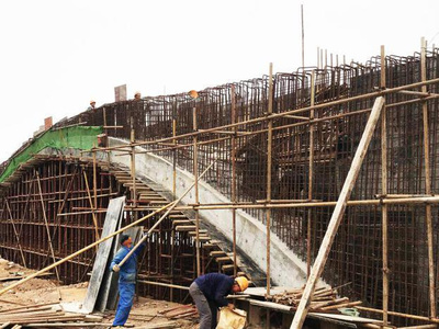 東湖綠道二期湖澤道五橋主體落成，再添城市生態(tài)新廊道